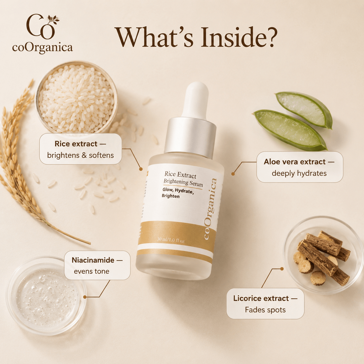 Rice Extract Brightening Serum - coOrganica